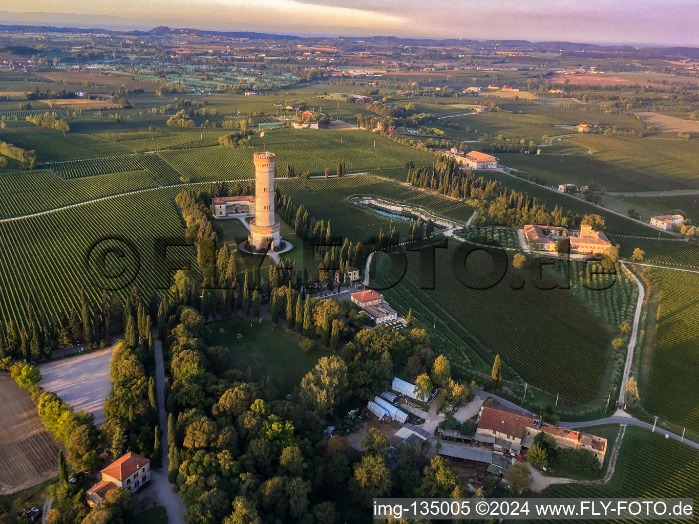 Photographie aérienne de Tour de San Martino della Battagli à le quartier Chiodino in Desenzano del Garda dans le département Brescia, Italie