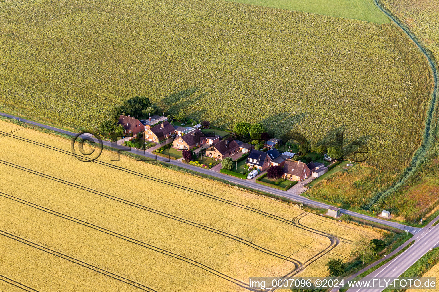 Vue aérienne de Koogsweg à Friedrichsgabekoog dans le département Schleswig-Holstein, Allemagne