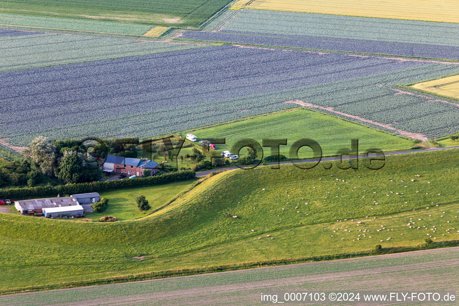 Vue aérienne de Elpersbüttelelerdeich à Elpersbüttel dans le département Schleswig-Holstein, Allemagne