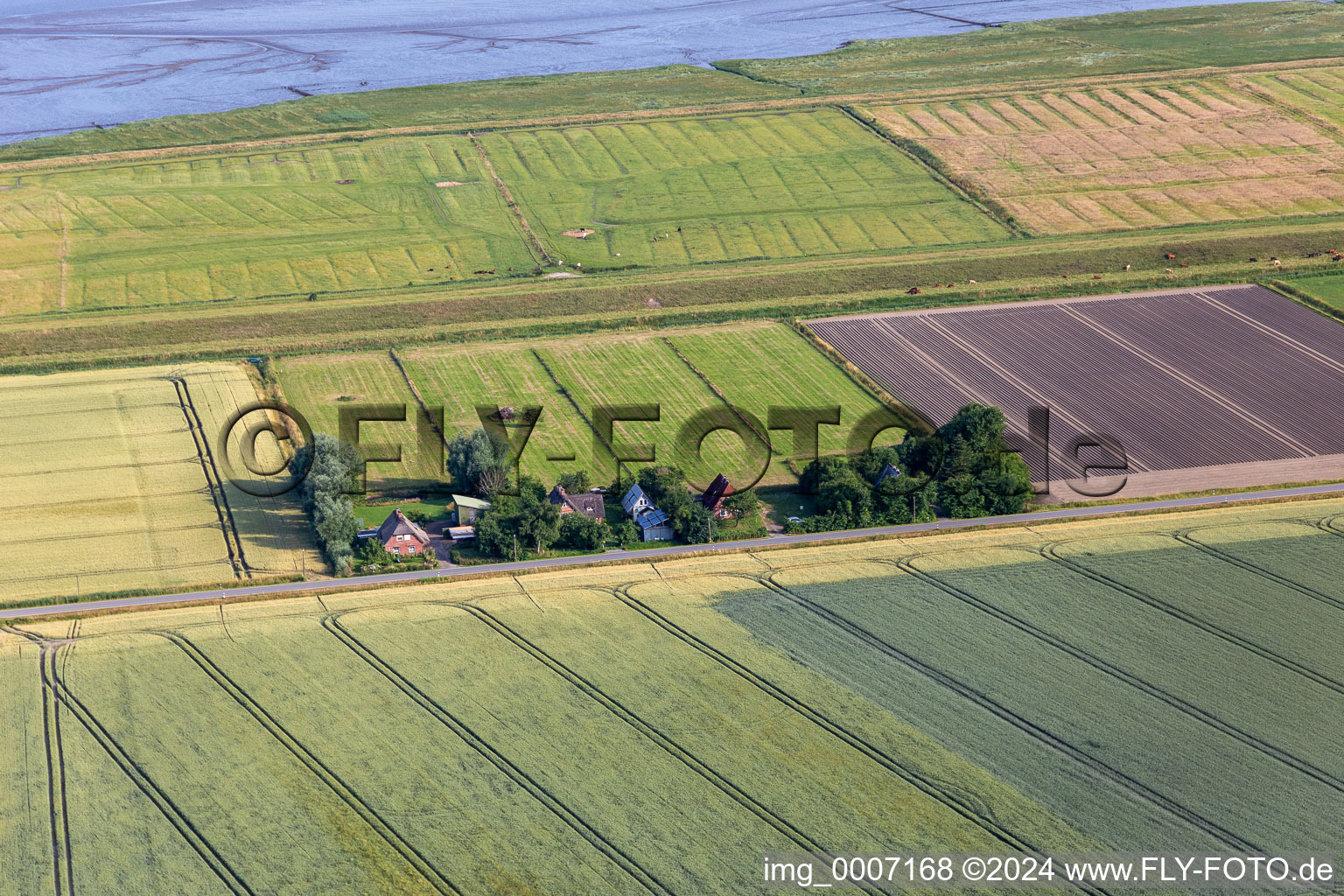 Vue aérienne de Anciennes cours des gardiens de digues sur la Schülpersieler Straße à Wesselburenerkoog dans le département Schleswig-Holstein, Allemagne