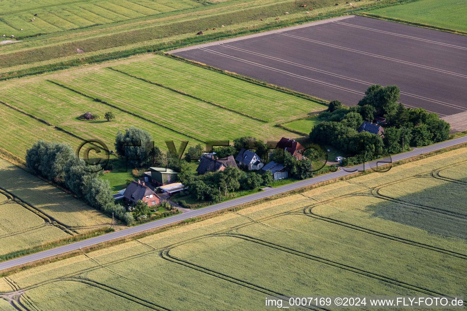 Vue aérienne de Anciennes cours des gardiens de digues sur la Schülpersieler Straße à Wesselburenerkoog dans le département Schleswig-Holstein, Allemagne