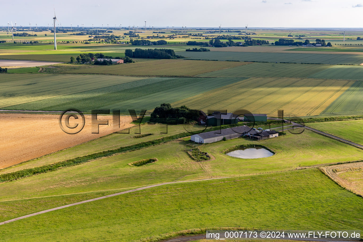 Vue aérienne de Eggert Wilkens à Wesselburenerkoog dans le département Schleswig-Holstein, Allemagne