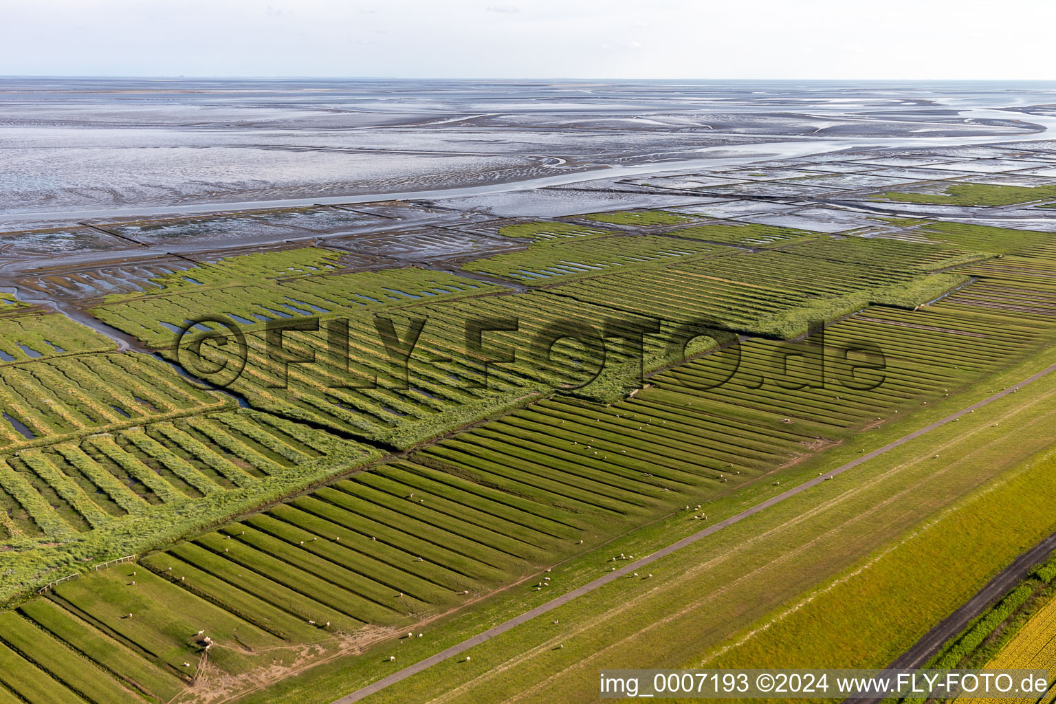 Vue aérienne de Mer des Wadden de la côte de la mer du Nord au niveau de la digue ouest de Grothusenkoog à Tating dans le département Schleswig-Holstein, Allemagne