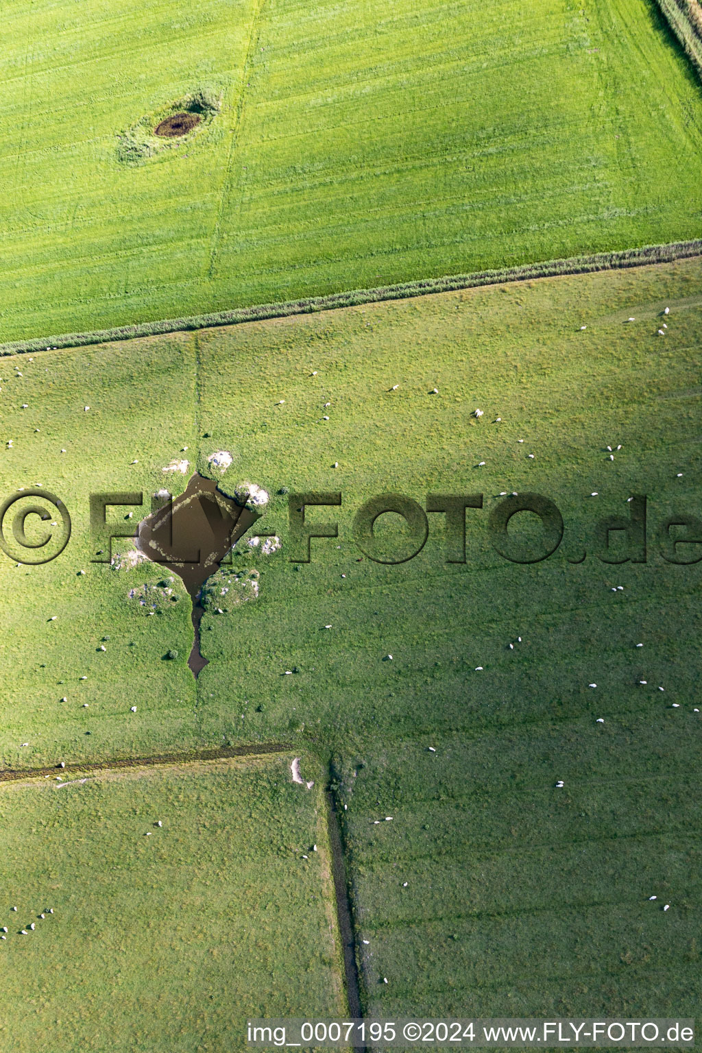 Vue aérienne de Quartier Böhl-Süderhöft in Sankt Peter-Ording dans le département Schleswig-Holstein, Allemagne