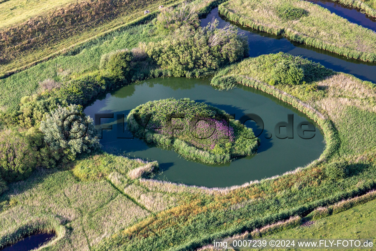 Vue aérienne de Structures d'un paysage de canaux et de marais salants à Tating à le quartier Brösum in Sankt Peter-Ording dans le département Schleswig-Holstein, Allemagne