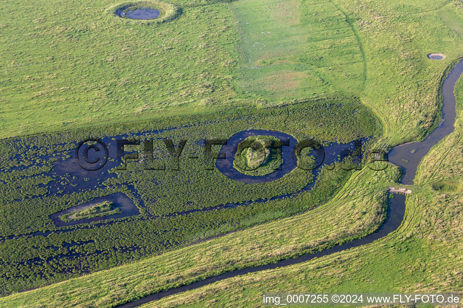 Photographie aérienne de Réserve naturelle d'Oldensworter Vorland sur l'Eider à le quartier Hemmerdeich in Oldenswort dans le département Schleswig-Holstein, Allemagne