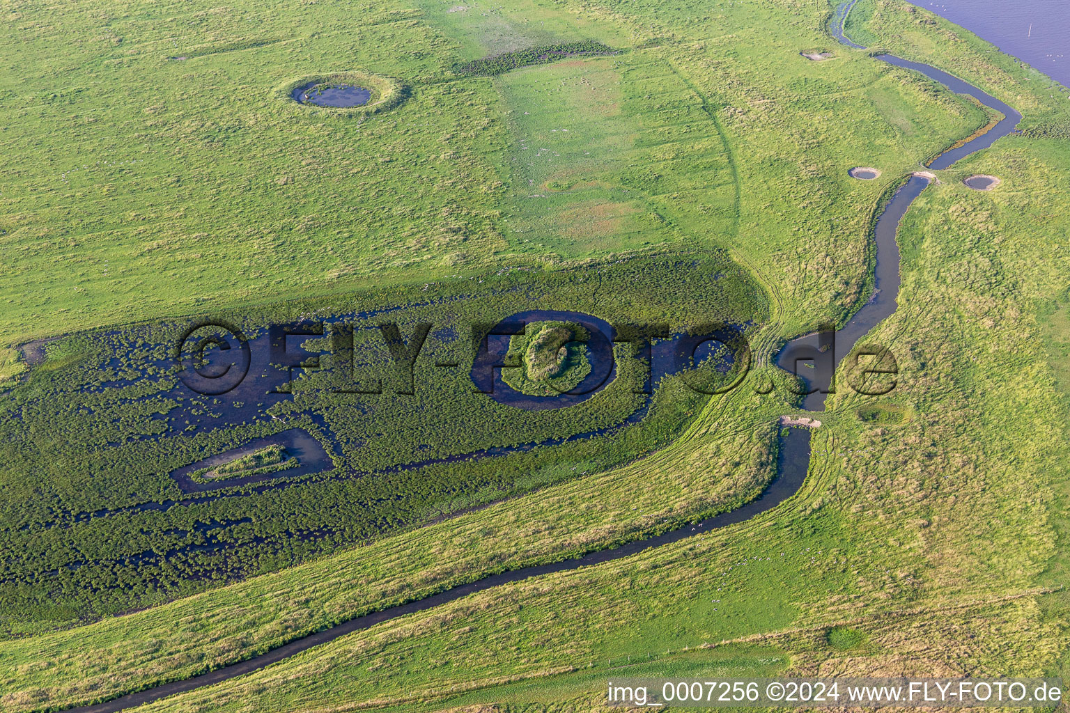 Vue aérienne de Zones de vasières sur la rivière Eider dans la réserve naturelle d'Oldensworter Vorland à Karolinenkoog à le quartier Hemmerdeich in Oldenswort dans le département Schleswig-Holstein, Allemagne