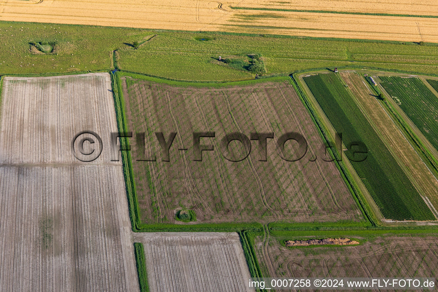 Vue aérienne de Quartier Sandwehle in Garding dans le département Schleswig-Holstein, Allemagne