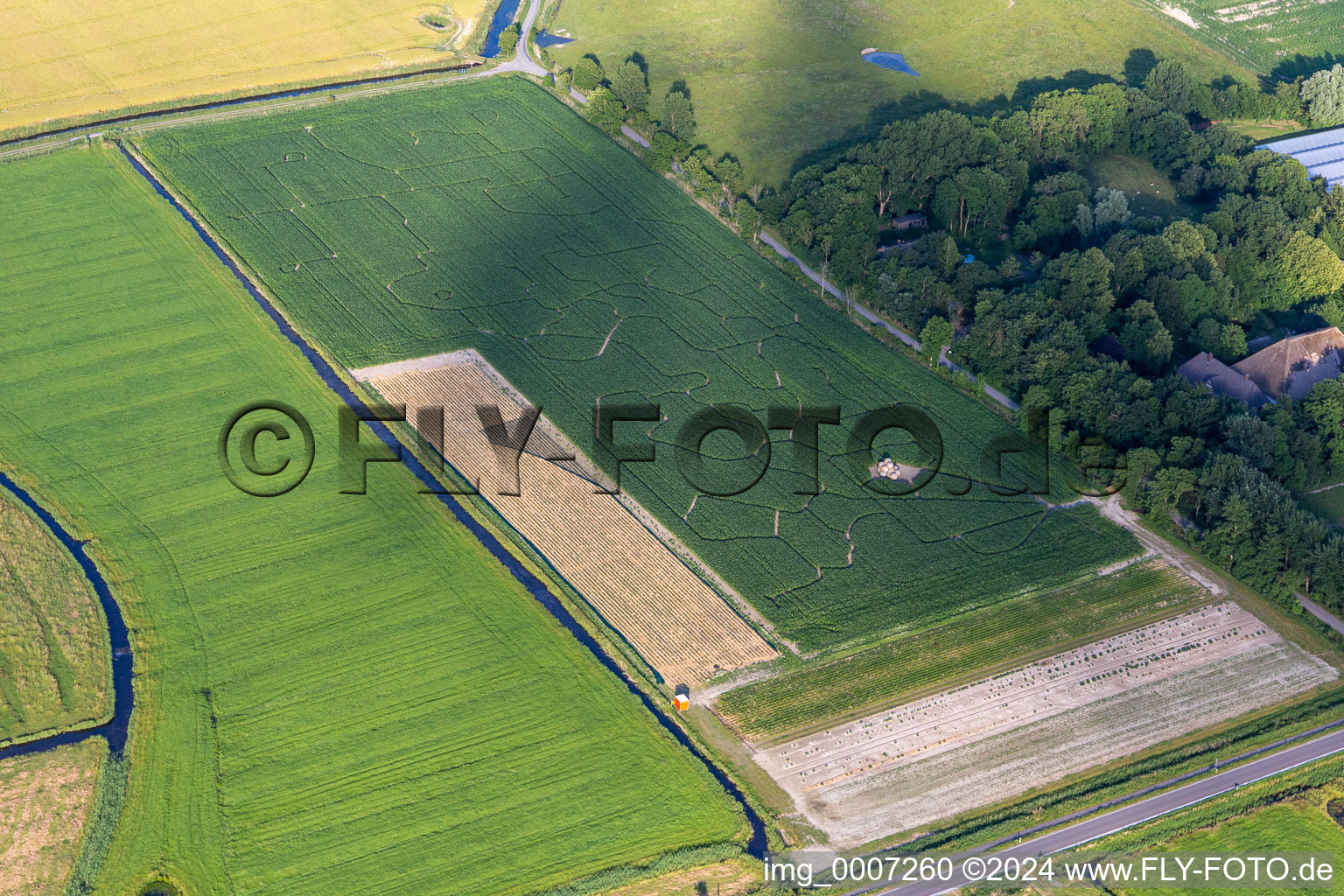 Vue aérienne de Labyrinthe de maïs cool à le quartier Hülkenbüll in Garding dans le département Schleswig-Holstein, Allemagne