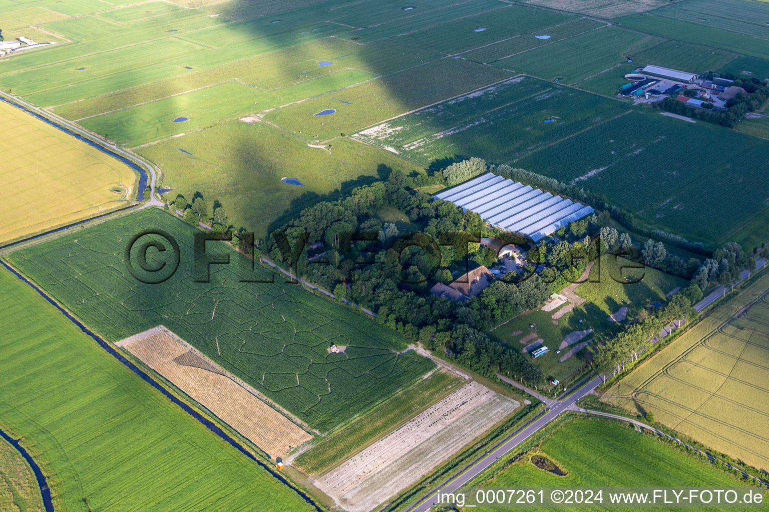 Vue aérienne de Labyrinthe de maïs cool à le quartier Hülkenbüll in Garding dans le département Schleswig-Holstein, Allemagne