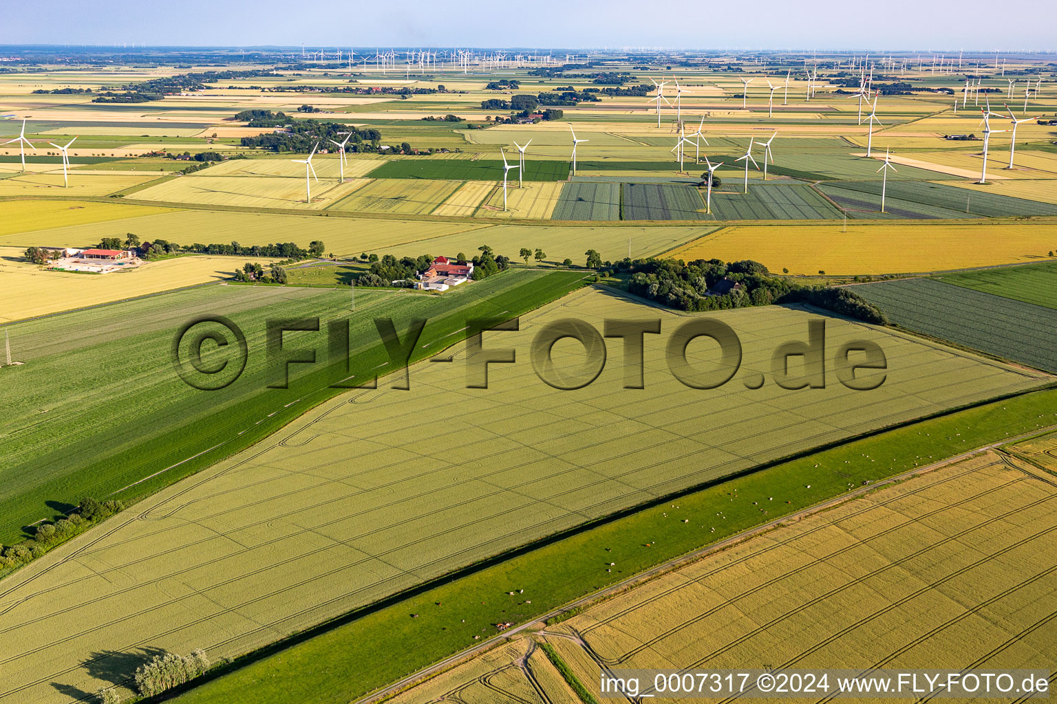 Vue aérienne de Karolinenkoog dans le département Schleswig-Holstein, Allemagne