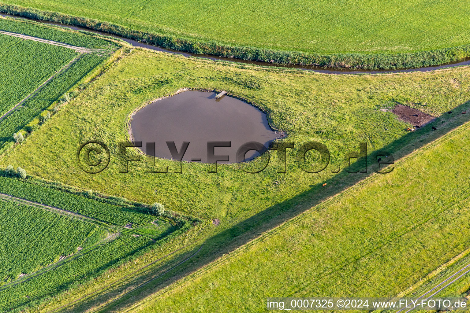 Vue aérienne de Étang d'abreuvement du bétail à Wesselburenerkoog dans le département Schleswig-Holstein, Allemagne