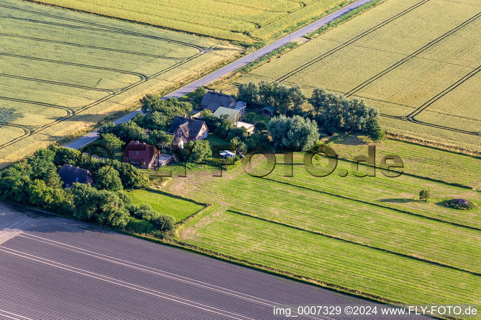 Anciennes cours des gardiens de digues sur la Schülpersieler Straße à Wesselburenerkoog dans le département Schleswig-Holstein, Allemagne d'en haut