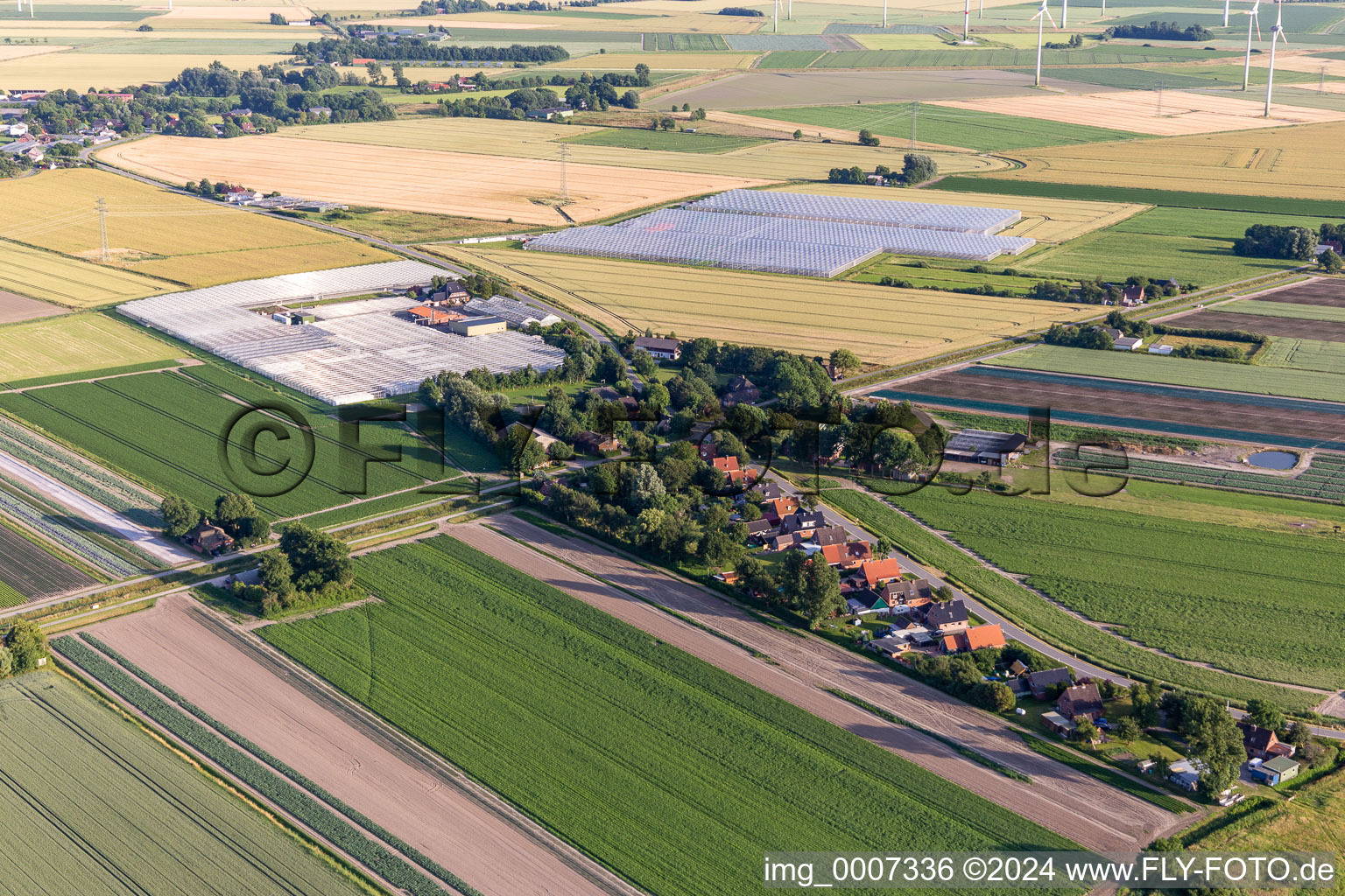 Vue aérienne de Quartier Schülperweide in Schülp dans le département Schleswig-Holstein, Allemagne