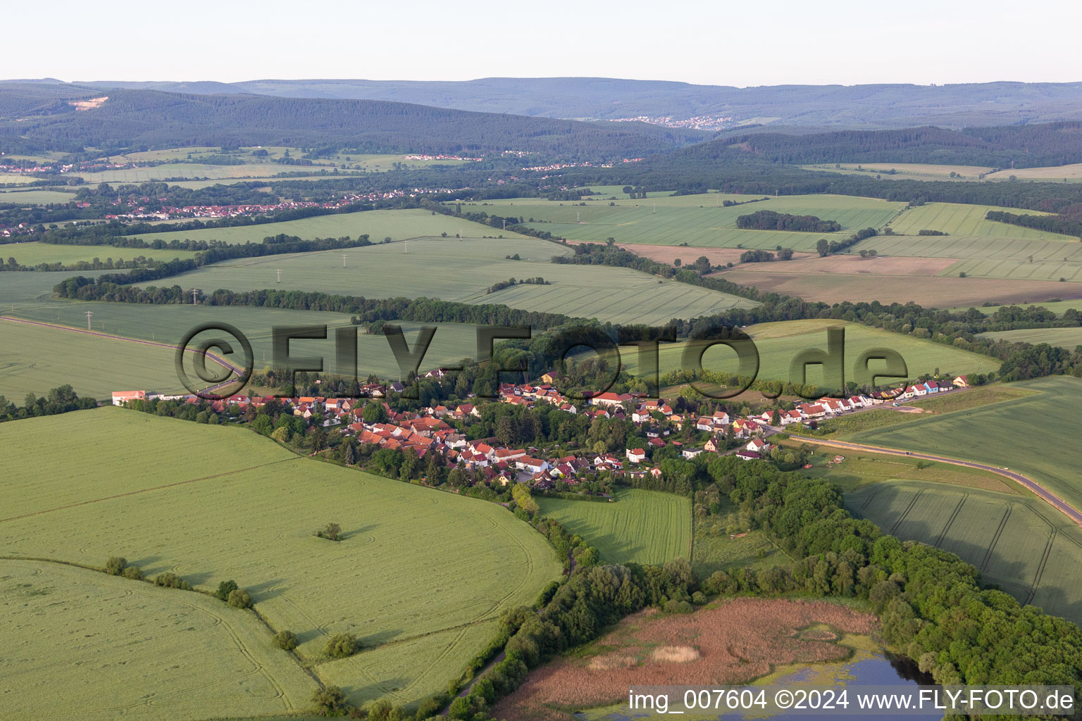 Vue aérienne de Petriroda dans le département Thuringe, Allemagne