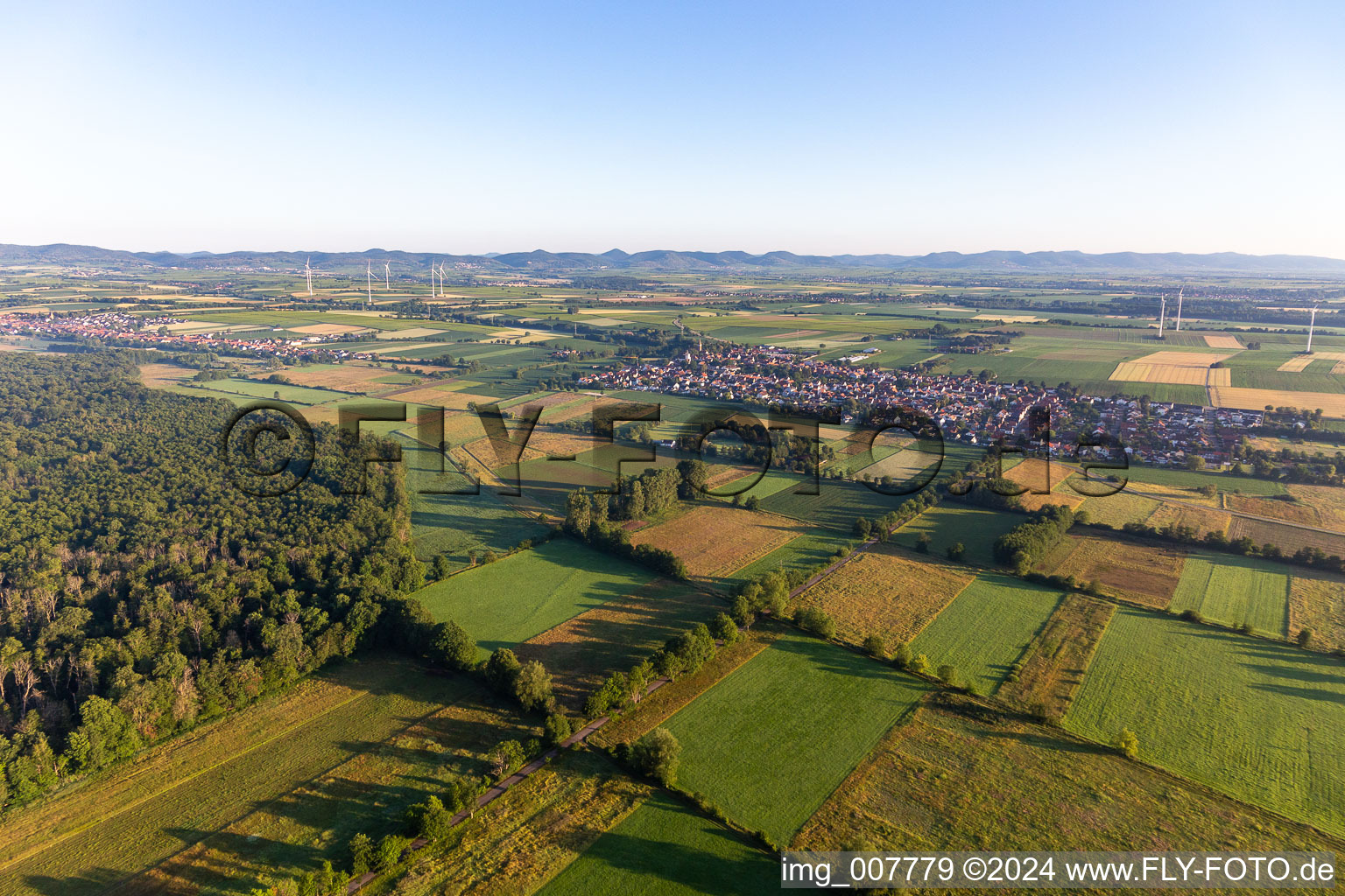 Vue aérienne de Minfeld dans le département Rhénanie-Palatinat, Allemagne