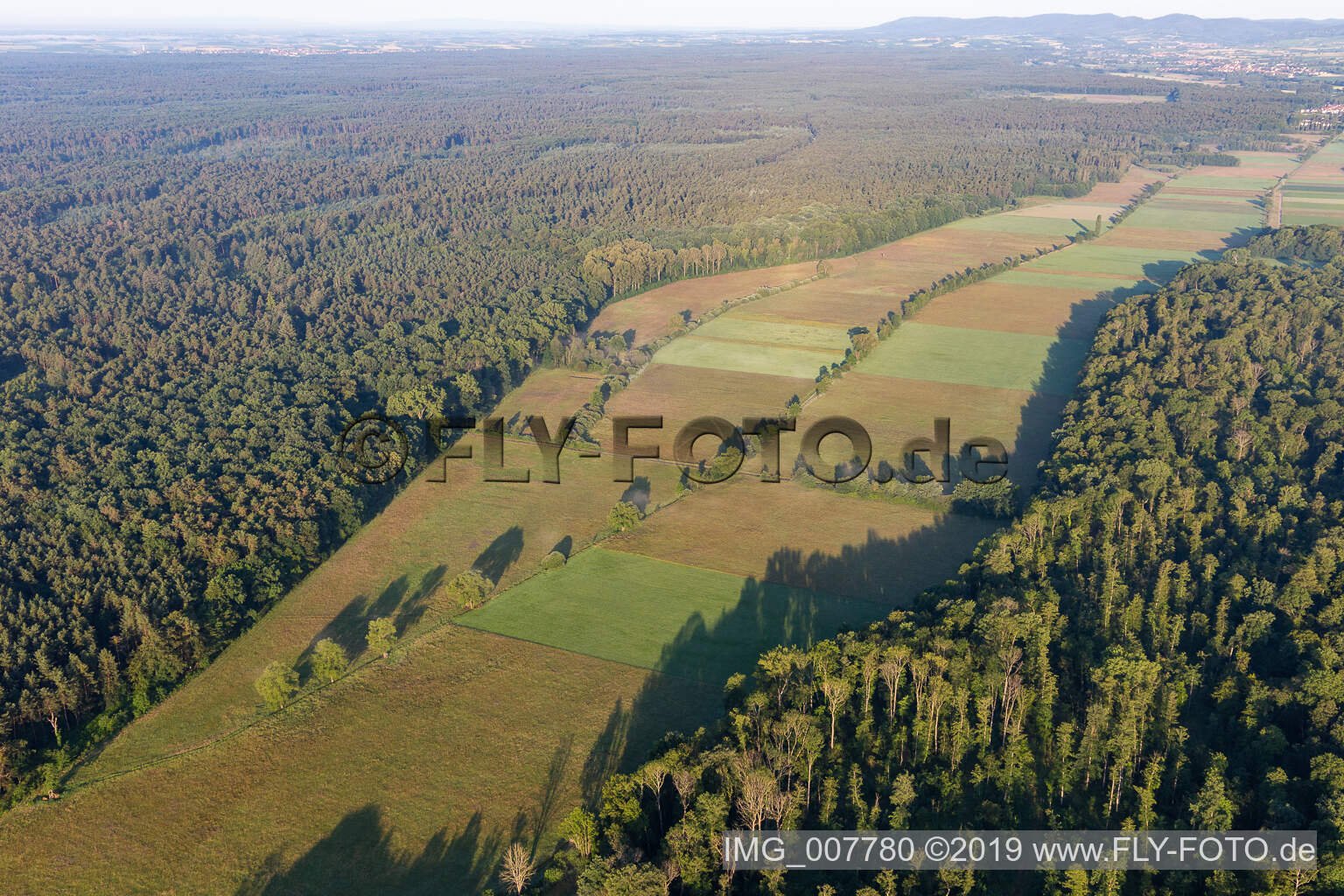 Vue aérienne de Vallée d'Otterbachtal à Freckenfeld dans le département Rhénanie-Palatinat, Allemagne