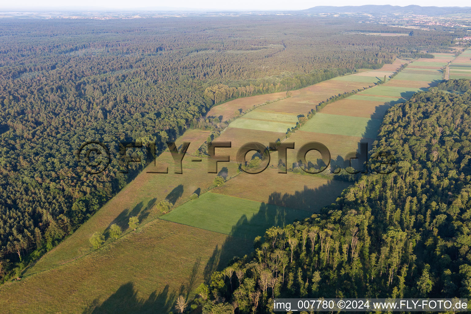 Vue aérienne de Vallée d'Otterbachtal à Freckenfeld dans le département Rhénanie-Palatinat, Allemagne