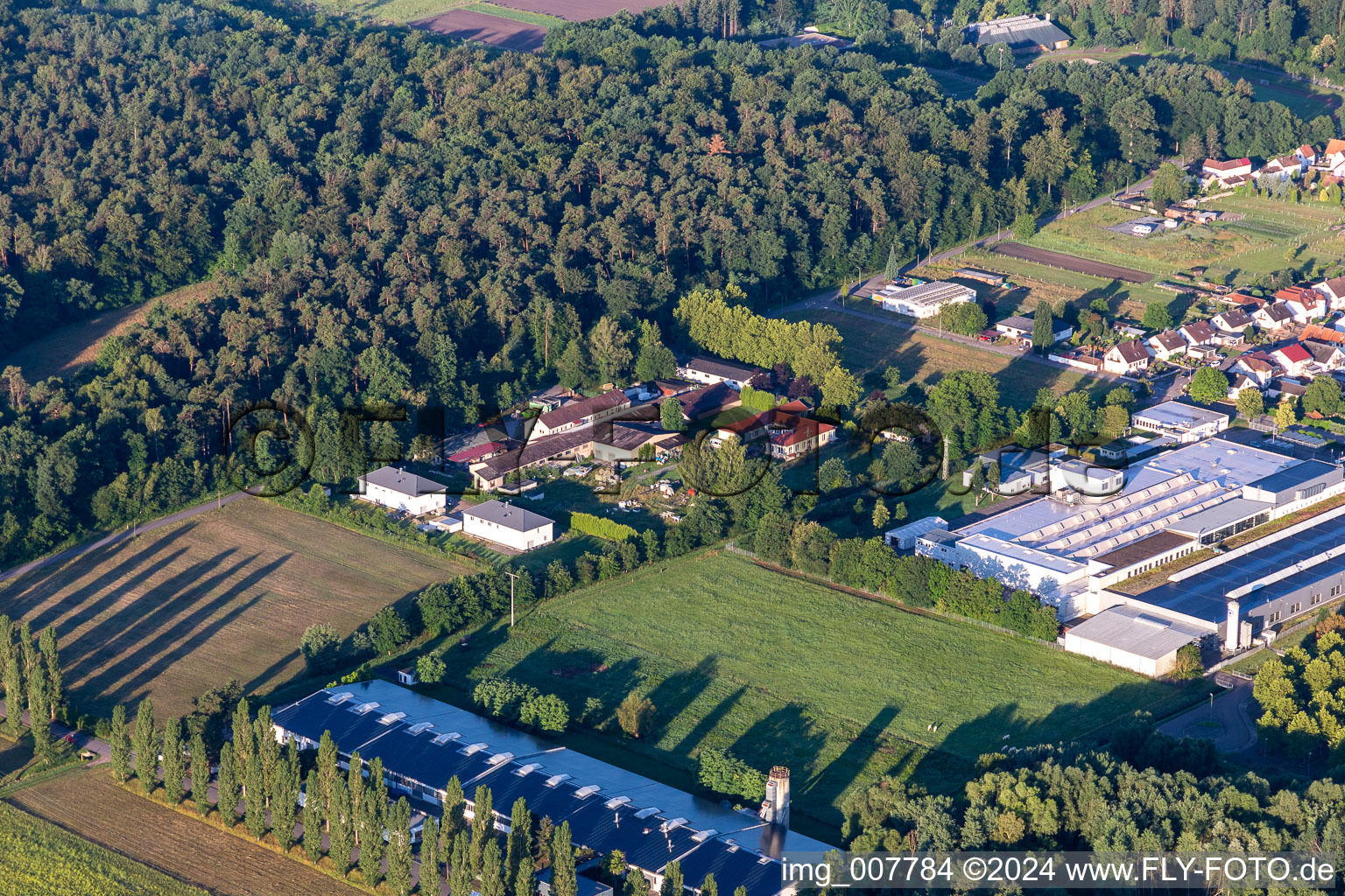 Vue aérienne de Webasto Mécatronique à le quartier Schaidt in Wörth am Rhein dans le département Rhénanie-Palatinat, Allemagne