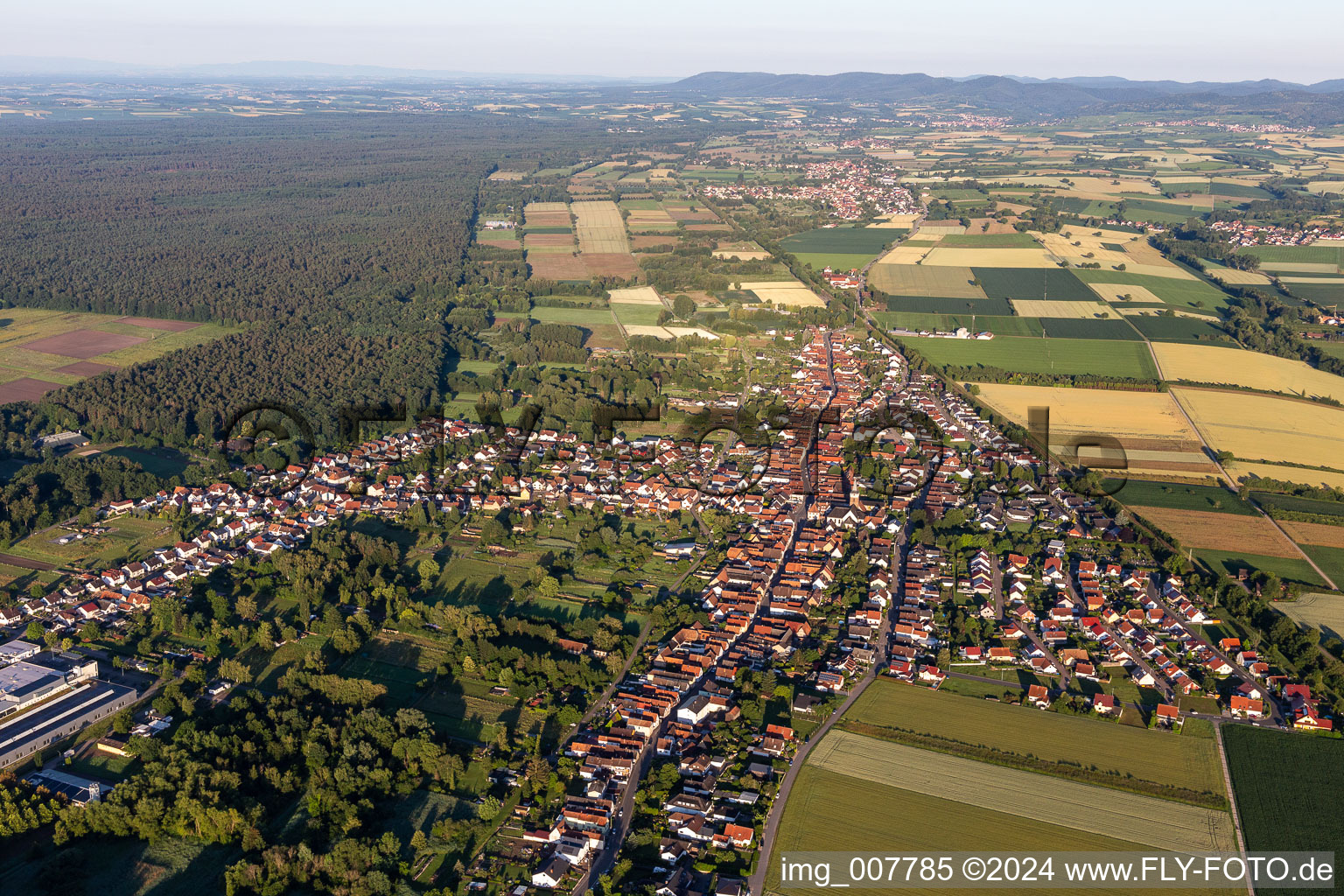 Vue aérienne de Quartier Schaidt in Wörth am Rhein dans le département Rhénanie-Palatinat, Allemagne