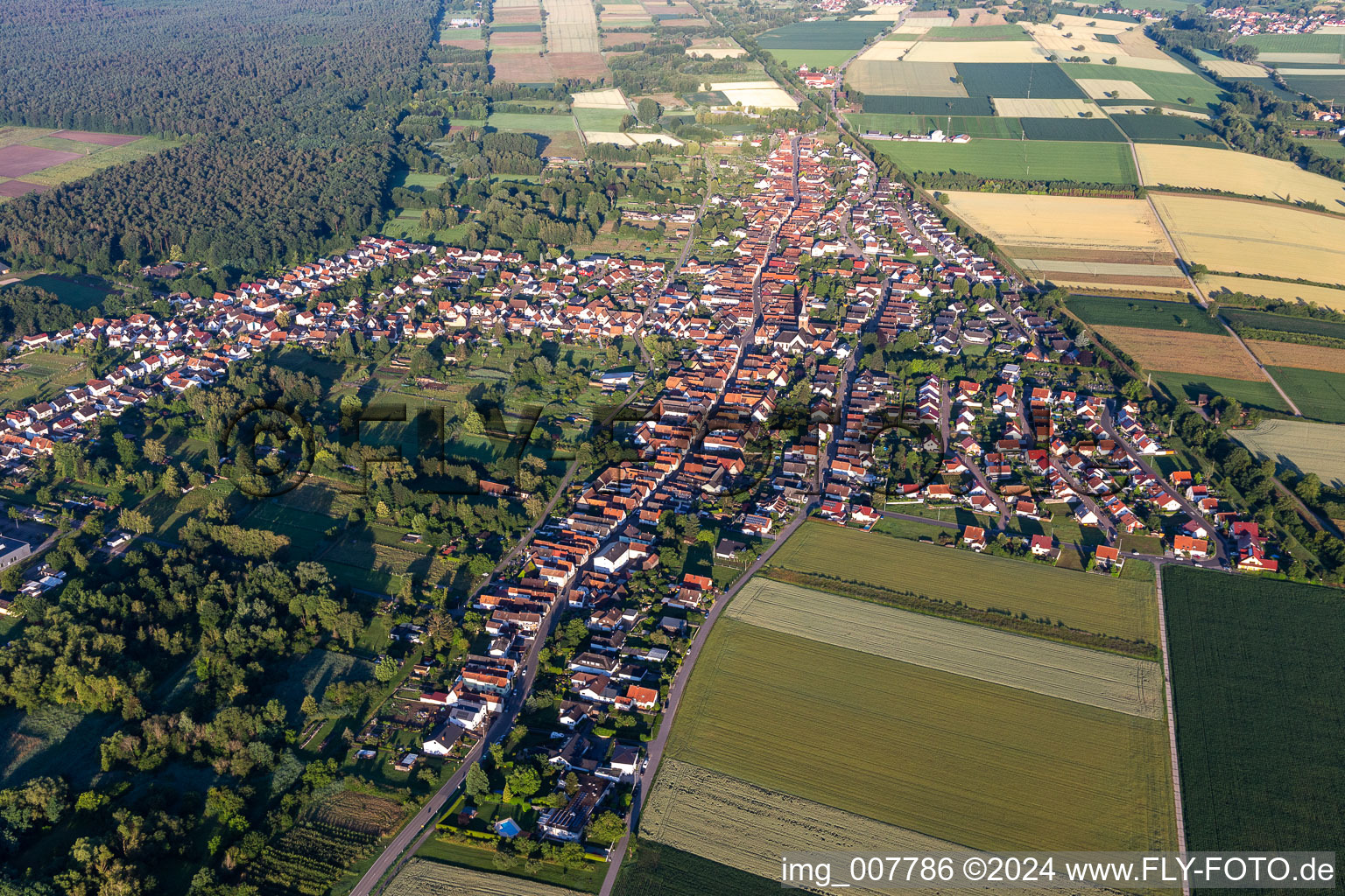 Photographie aérienne de Quartier Schaidt in Wörth am Rhein dans le département Rhénanie-Palatinat, Allemagne