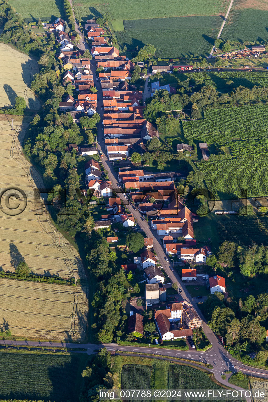 Vue oblique de Vollmersweiler dans le département Rhénanie-Palatinat, Allemagne