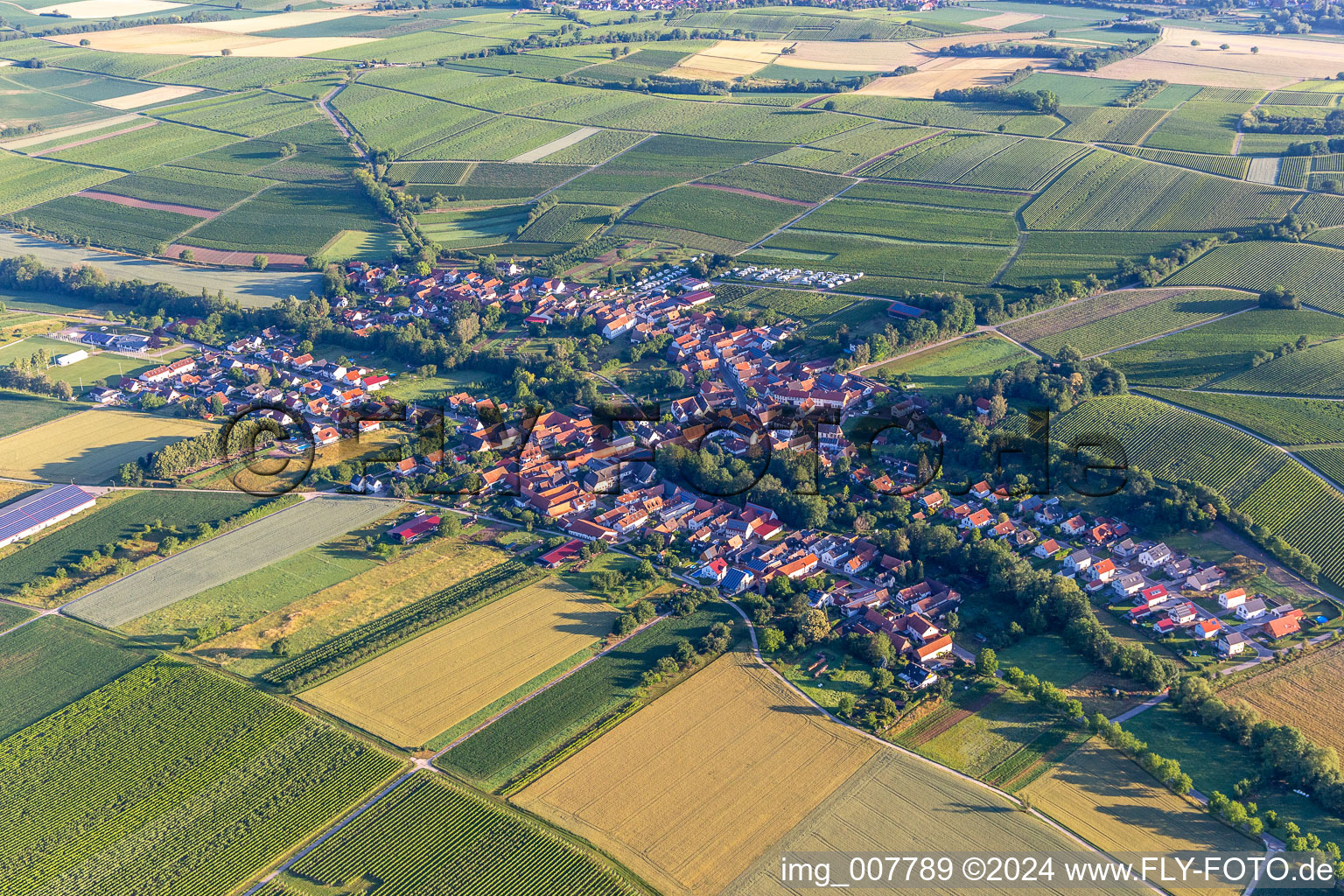 Vue aérienne de Dierbach dans le département Rhénanie-Palatinat, Allemagne