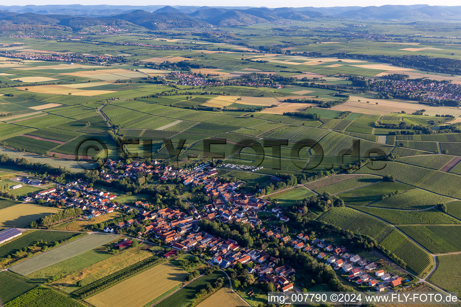 Vue aérienne de Champs agricoles et surfaces utilisables à Dierbach dans le département Rhénanie-Palatinat, Allemagne