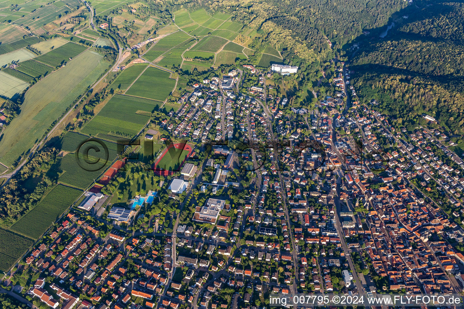 Vue aérienne de Bad Bergzabern dans le département Rhénanie-Palatinat, Allemagne