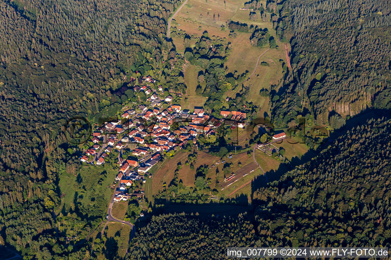 Vue aérienne de Centre-ville entouré de forêts et de zones forestières avec des rues et des maisons et des zones résidentielles à Böllenborn dans le département Rhénanie-Palatinat, Allemagne