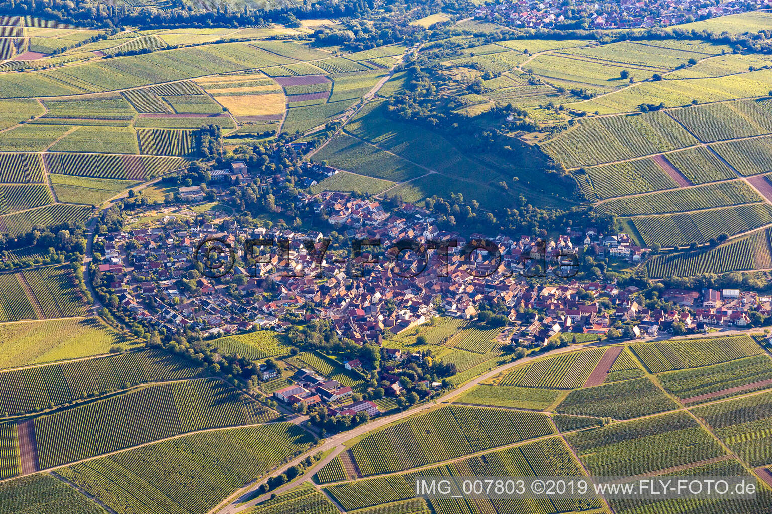 Vue aérienne de Ilbesheim bei Landau in der Pfalz dans le département Rhénanie-Palatinat, Allemagne