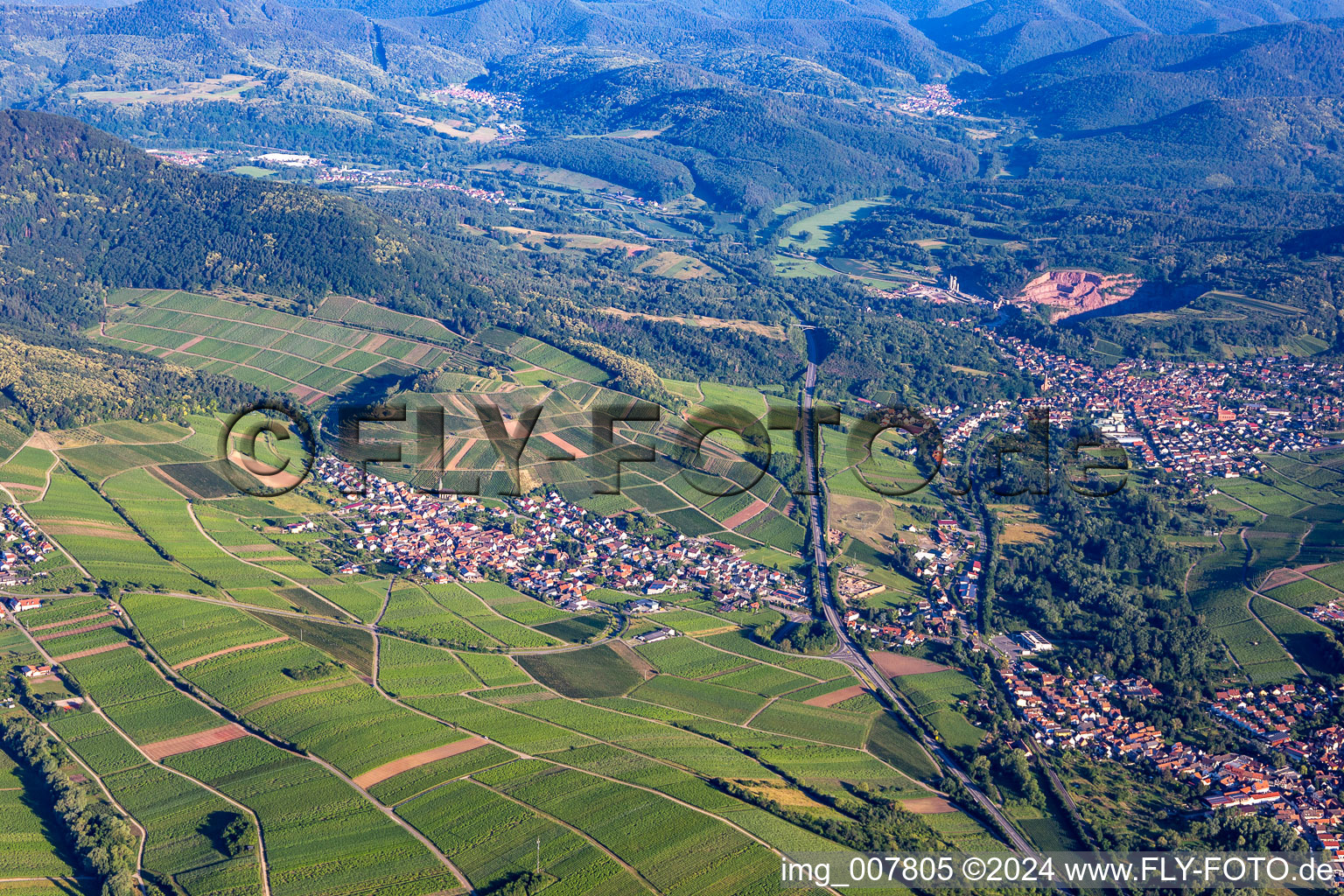 Vue aérienne de Birkweiler dans le département Rhénanie-Palatinat, Allemagne