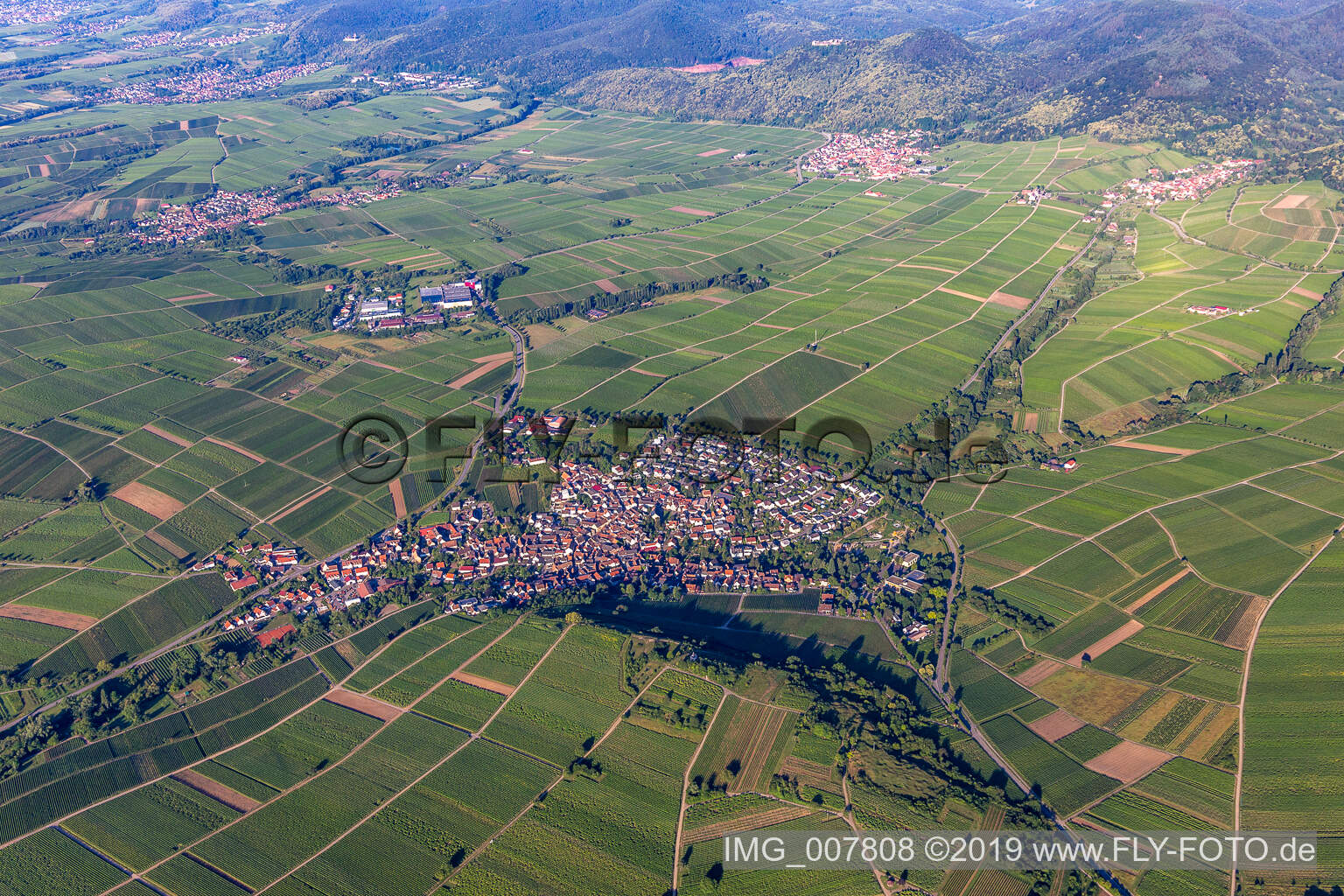 Photographie aérienne de Ilbesheim bei Landau in der Pfalz dans le département Rhénanie-Palatinat, Allemagne