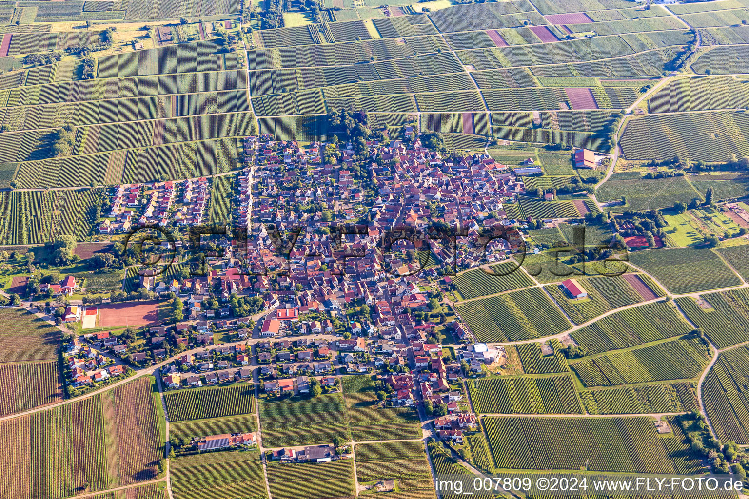 Vue aérienne de Quartier Nußdorf in Landau in der Pfalz dans le département Rhénanie-Palatinat, Allemagne