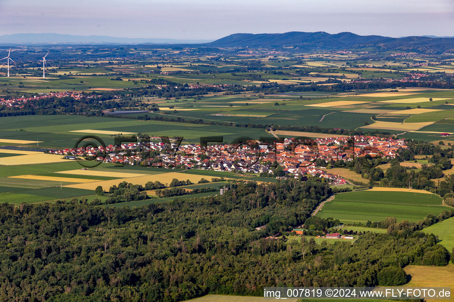 Vue aérienne de Vue sur le village à Steinweiler dans le département Rhénanie-Palatinat, Allemagne