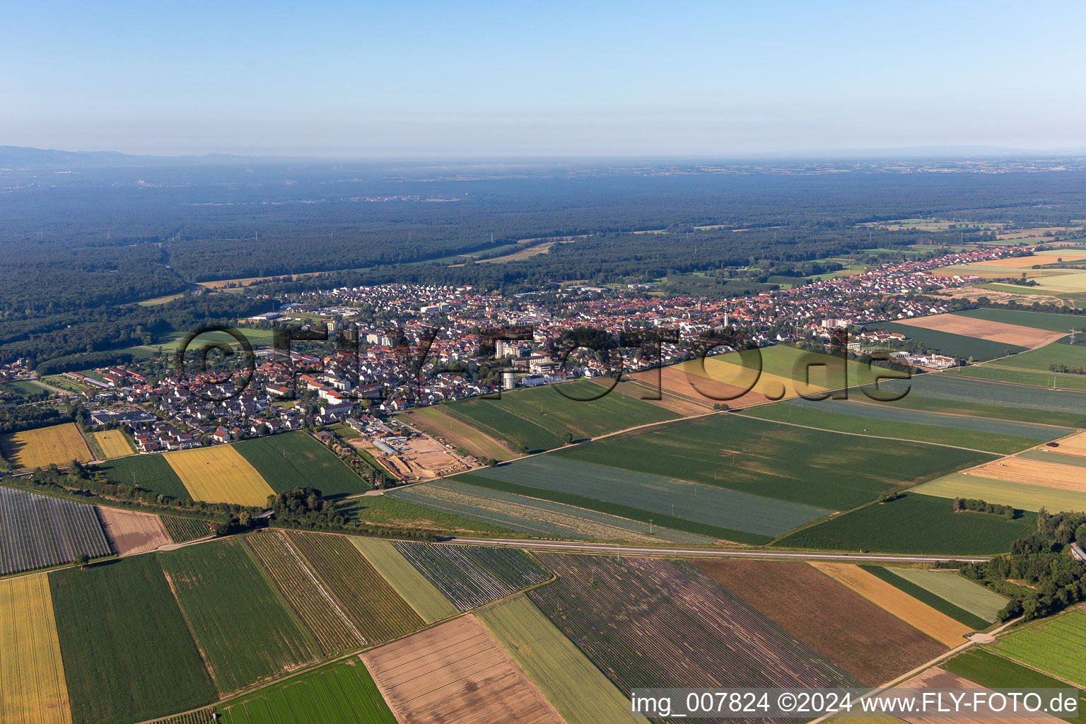 Vue aérienne de Kandel dans le département Rhénanie-Palatinat, Allemagne