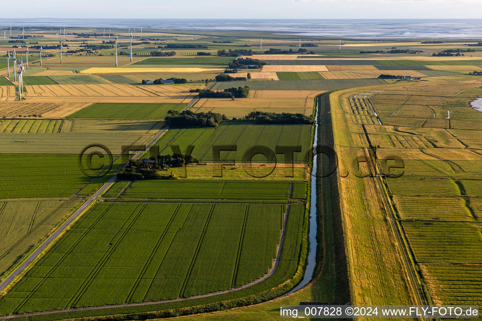 Vue aérienne de Schülpersieler Straße à Wesselburenerkoog dans le département Schleswig-Holstein, Allemagne