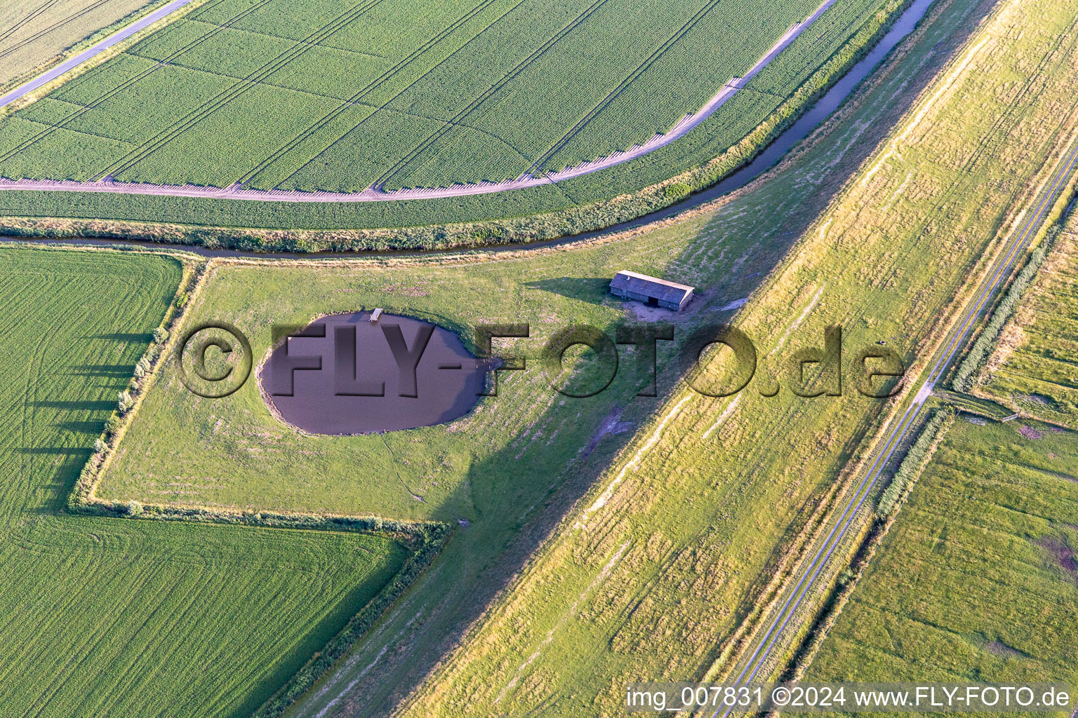 Photographie aérienne de Dithmarscher Eidervorland à Wesselburenerkoog dans le département Schleswig-Holstein, Allemagne