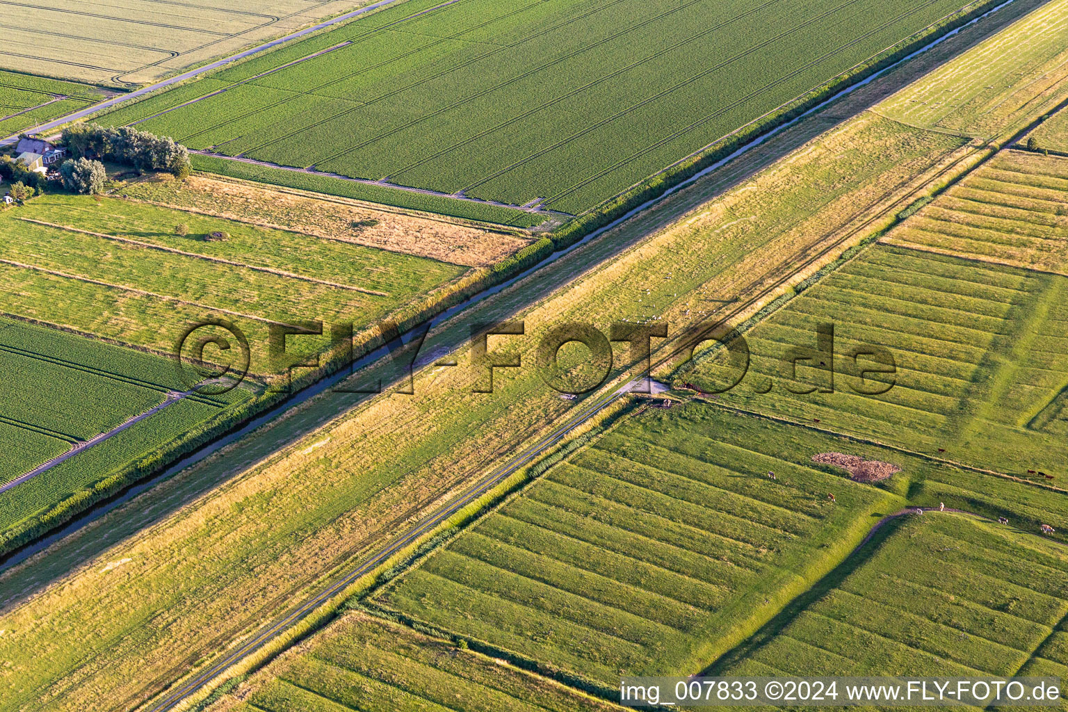 Photographie aérienne de Wesselburenerkoog dans le département Schleswig-Holstein, Allemagne