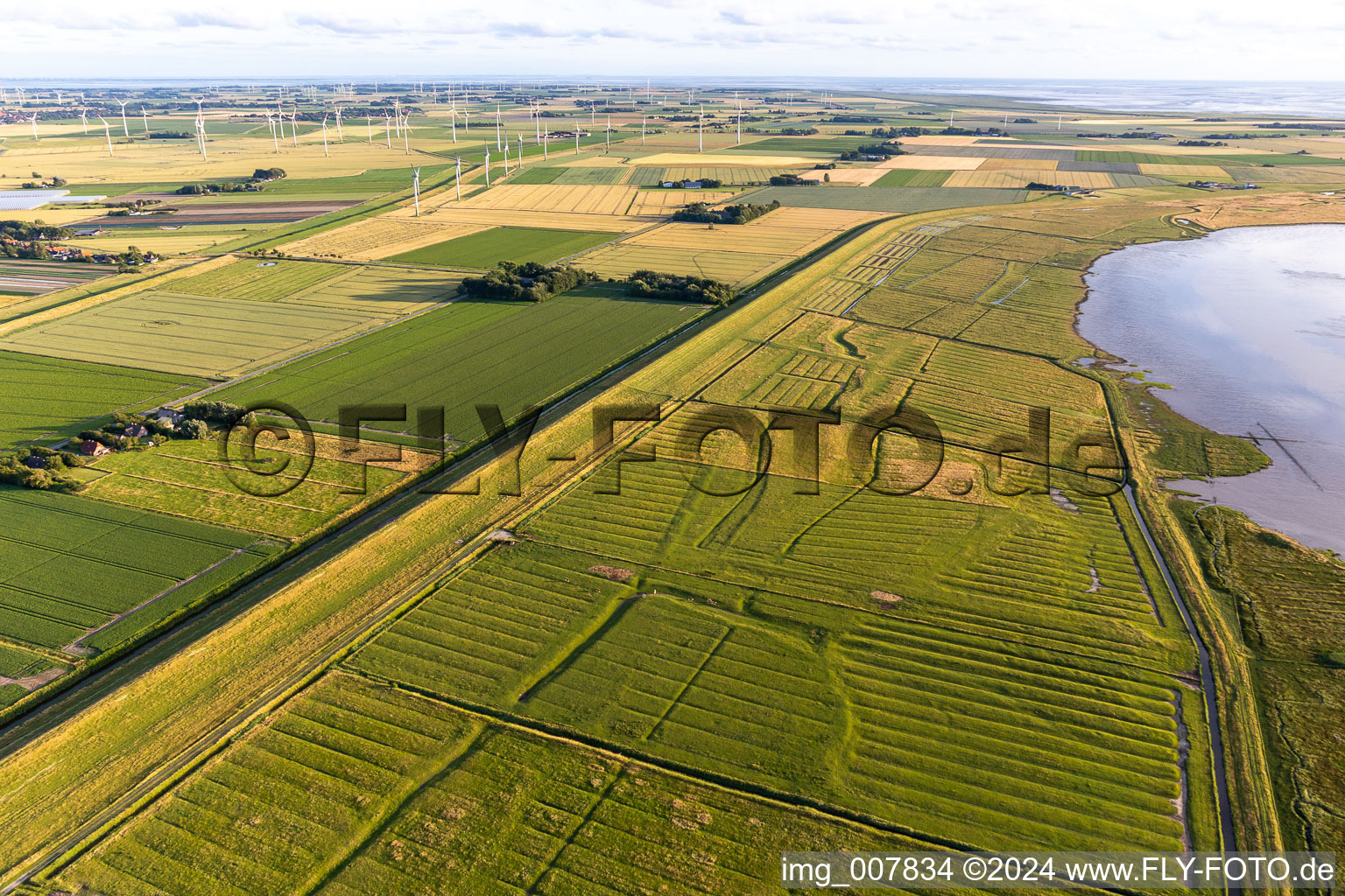 Vue oblique de Wesselburenerkoog dans le département Schleswig-Holstein, Allemagne