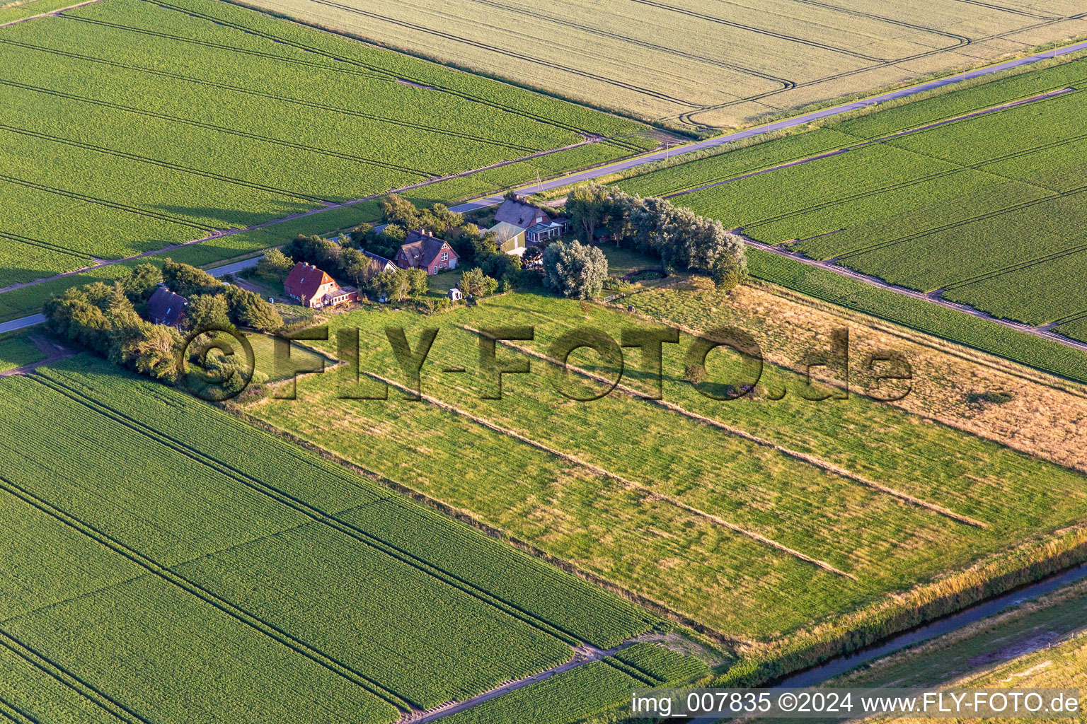 Wesselburenerkoog dans le département Schleswig-Holstein, Allemagne d'en haut