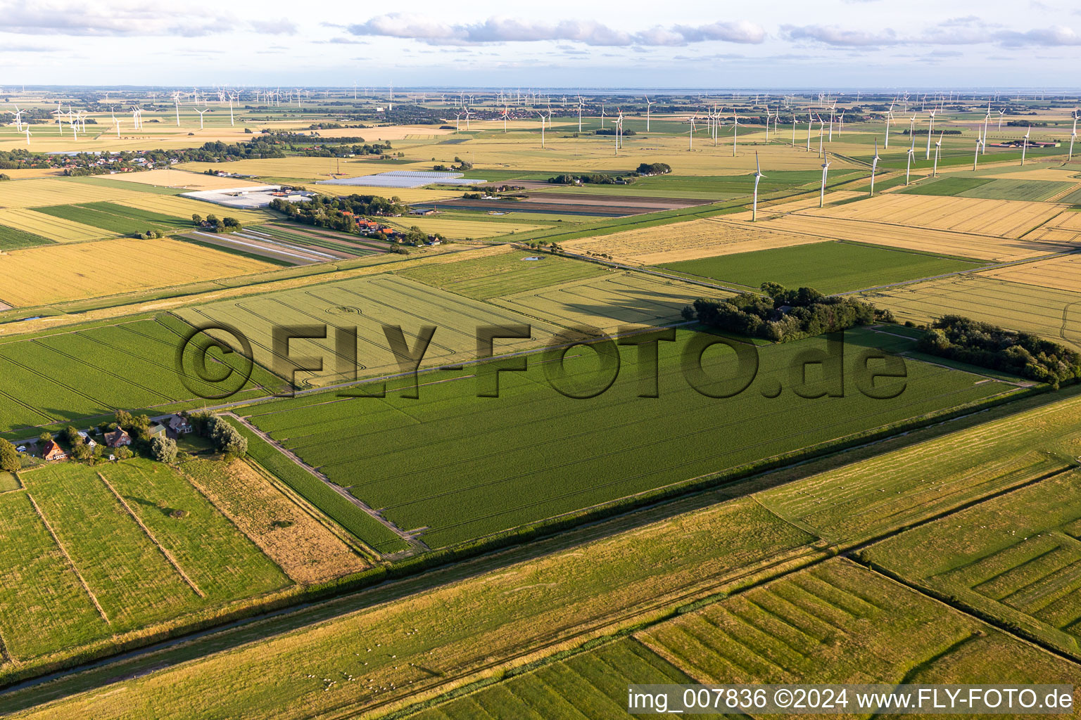 Vue aérienne de Éoliennes (WEA) - éoliennes - dans un champ à le quartier Schülperweide in Schülp dans le département Schleswig-Holstein, Allemagne