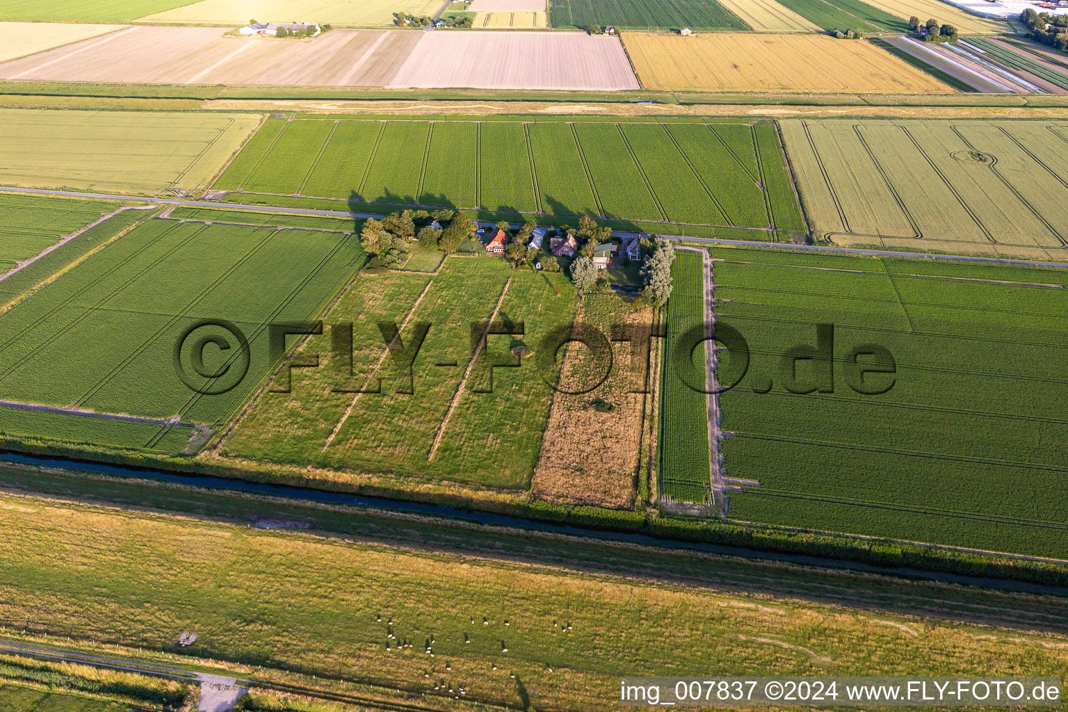 Vue aérienne de Schülpersieler Straße à Wesselburenerkoog dans le département Schleswig-Holstein, Allemagne