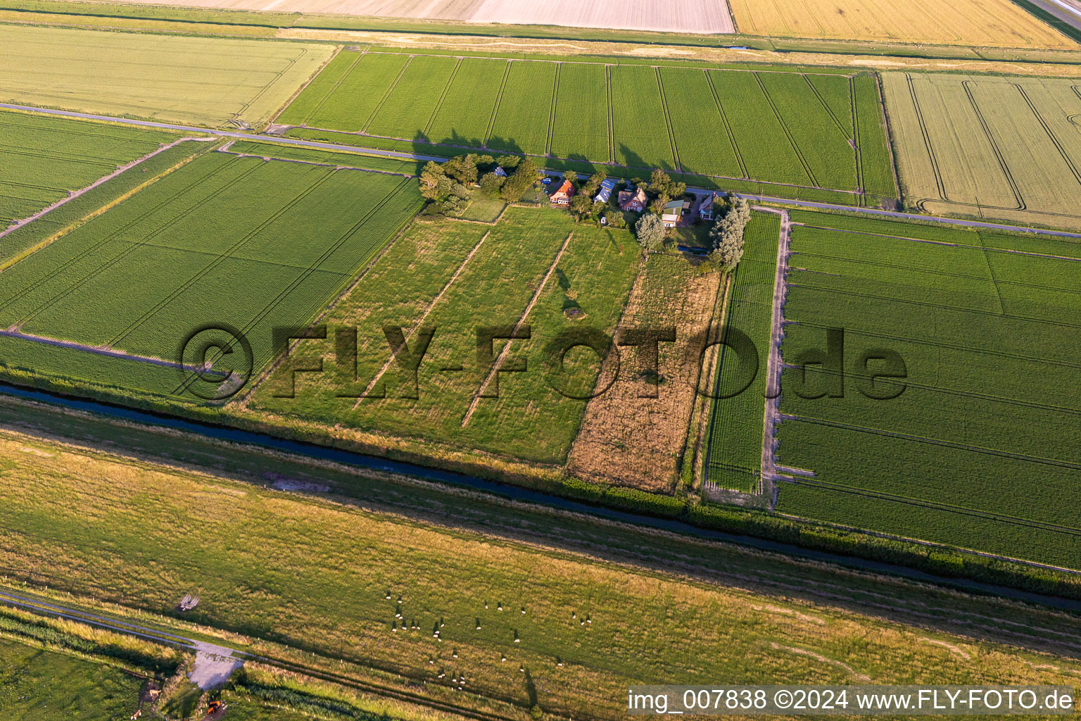 Photographie aérienne de Schülpersieler Straße à Wesselburenerkoog dans le département Schleswig-Holstein, Allemagne