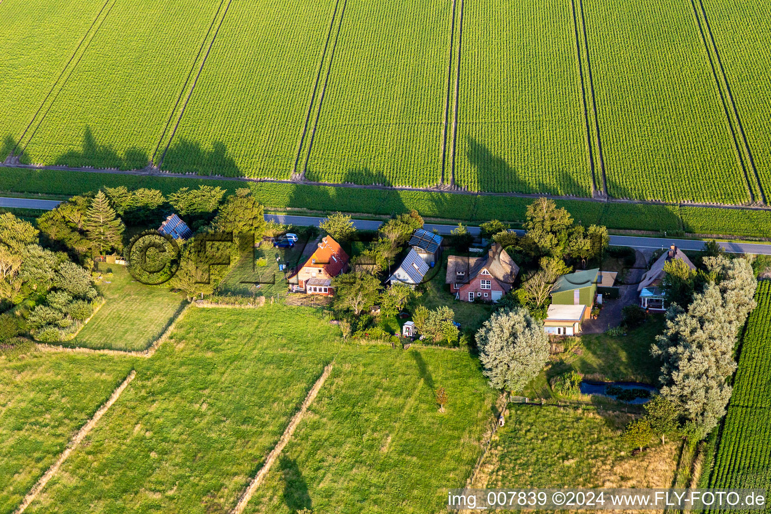 Vue oblique de Schülpersieler Straße à Wesselburenerkoog dans le département Schleswig-Holstein, Allemagne