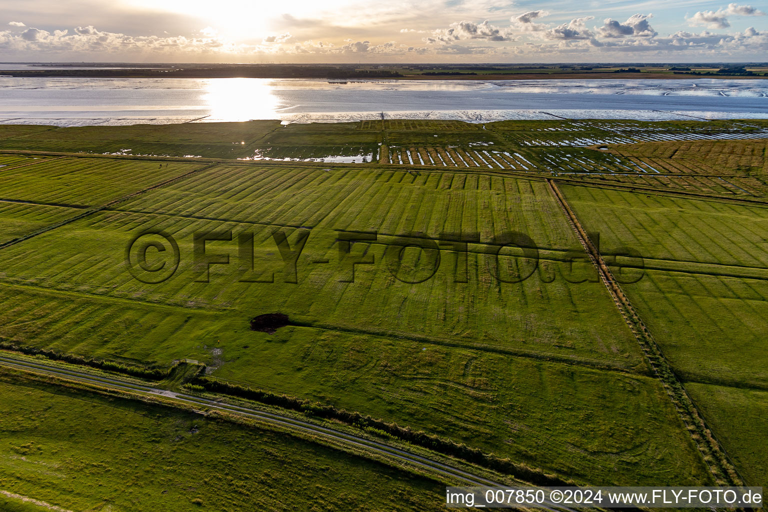 Vue oblique de Dithmarscher Eidervorland à Wesselburenerkoog dans le département Schleswig-Holstein, Allemagne