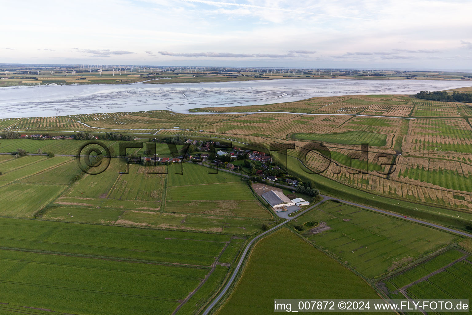 Vue aérienne de Gross Olversum dans le département Schleswig-Holstein, Allemagne