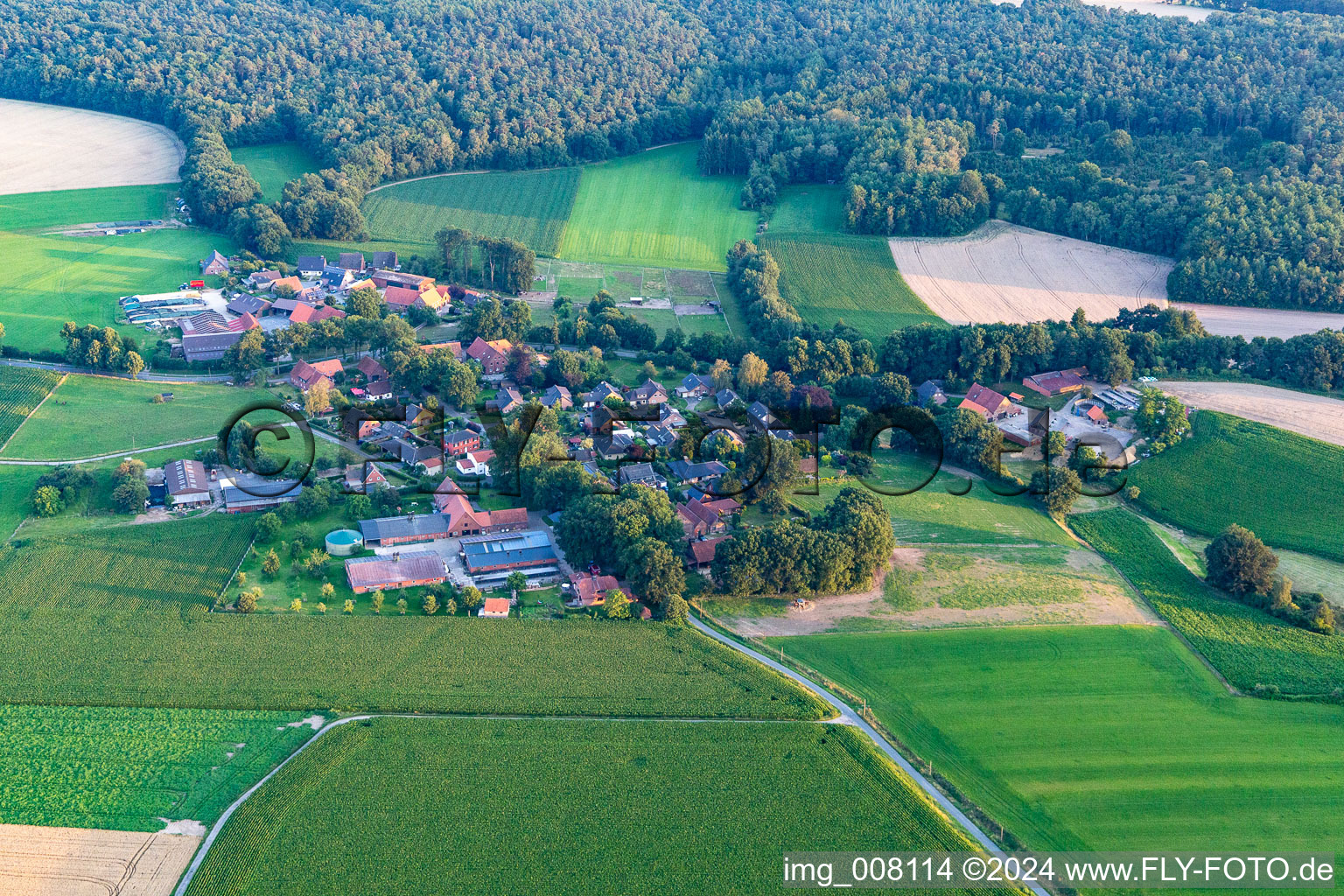 Vue aérienne de Quartier Holtwick in Haltern am See dans le département Rhénanie du Nord-Westphalie, Allemagne