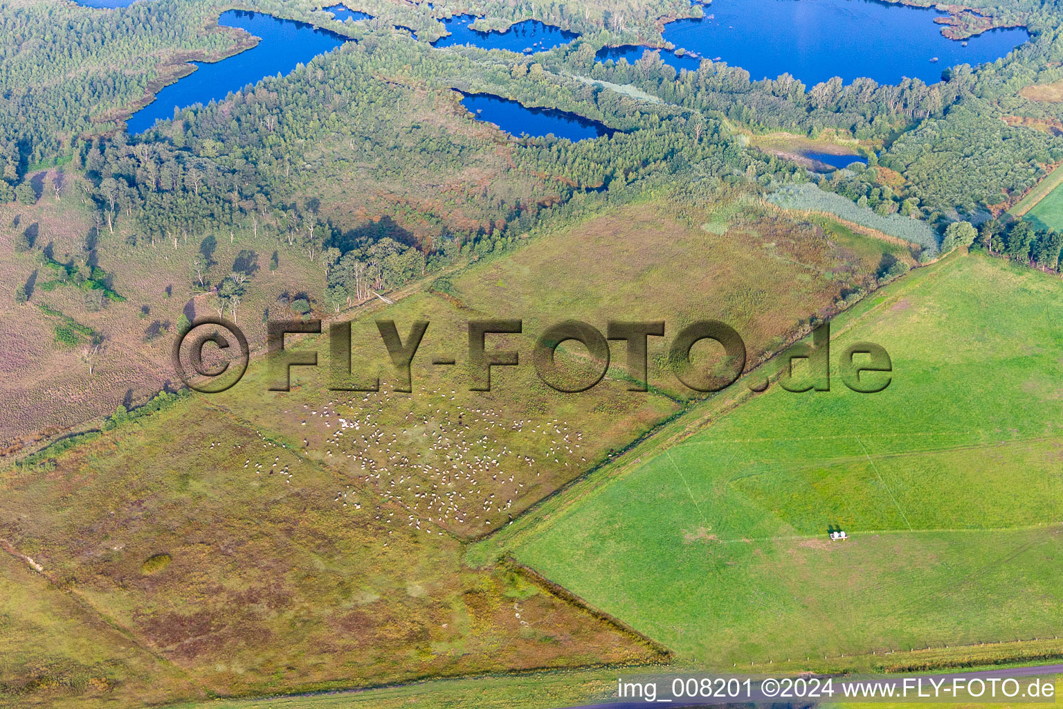 Vue aérienne de Haaksbergen dans le département Overijssel, Pays-Bas