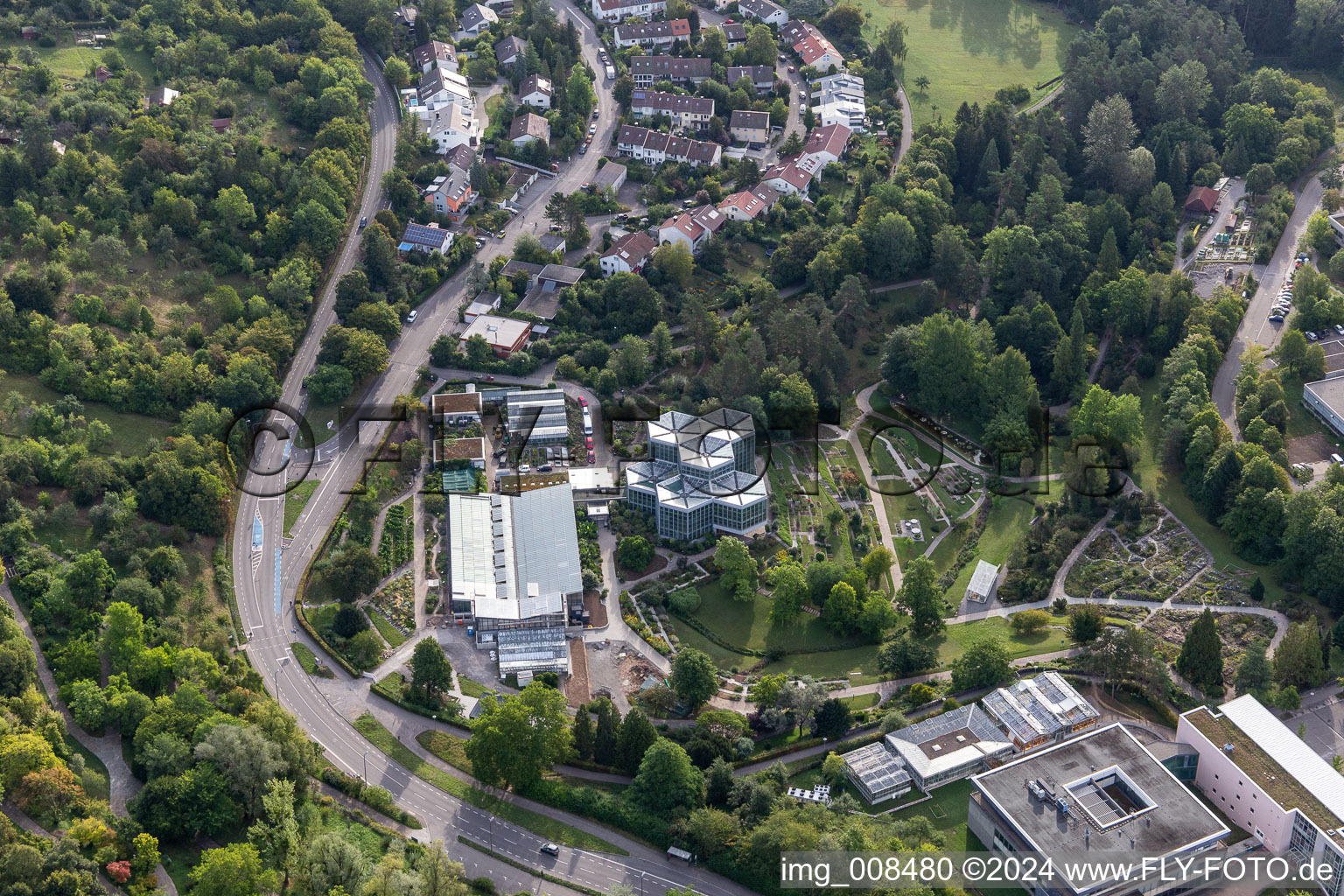 Vue aérienne de Parc en terrasses du Jardin Botanique, Tropicarium et Arboretum de l'Université Tübingen à Tübingen dans le département Bade-Wurtemberg, Allemagne